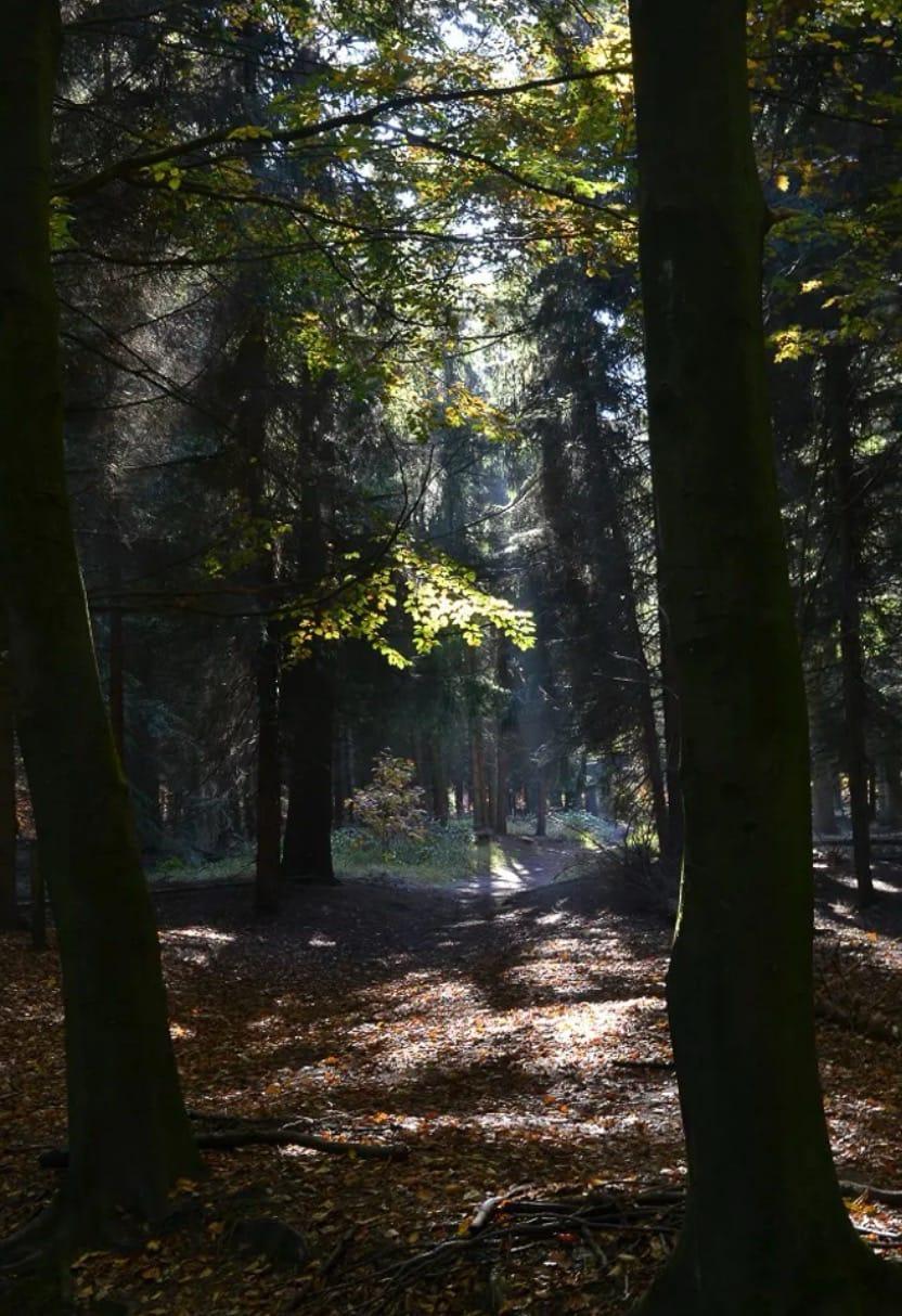 Omgeving